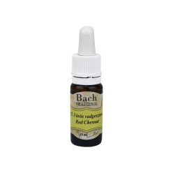 Bach virágeszencia vörös vadgesztenye 10 ml