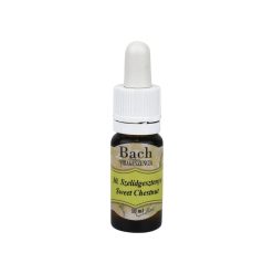 Bach virágeszencia szelídgesztenye 10 ml