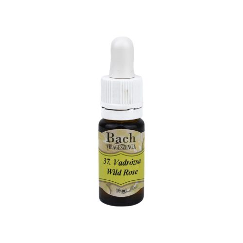 Bach virágeszencia vadrózsa 10 ml