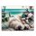 Gumis mappa, 15 mm, PP, A4, PANTA PLAST "Chillout cat"