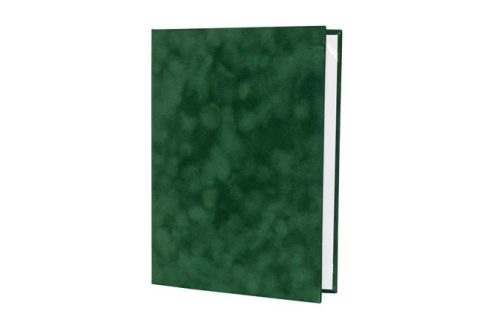 Letter holder, A4, exclusive, green