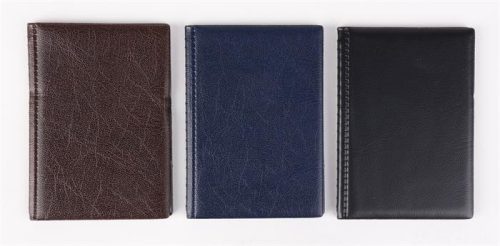 Passport holder, standing, with 10 inserts, PVC, "Extended ID", man