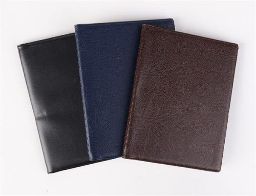 Passport holder, standing, with 16 inserts, PVC, "Documents", man