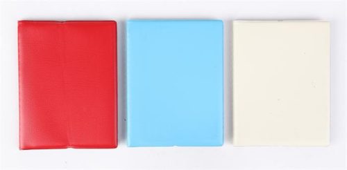 Passport holder, standing, 16 inserts, PVC, "Documents", female