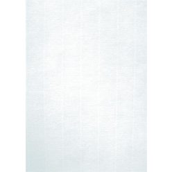 Preprinted paper, A4, 220 g, APLI, off-white