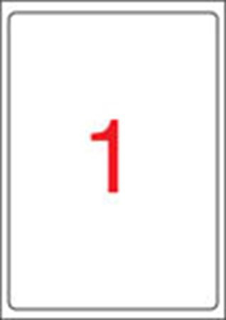 Label, universal, 199.6x289.1 mm, rounded corners, APLI, 100 labels per pack