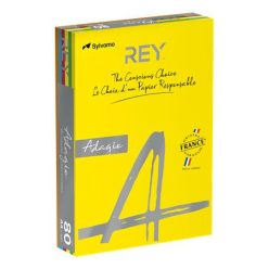   Copy paper, colour, A4, 80 g, 5x100 sheets, REY "Adagio", intensive mix