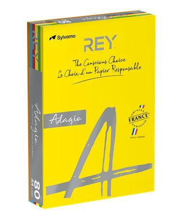 Copy paper, colour, A4, 80 g, 5x100 sheets, REY "Adagio", intensive mix