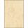 Preprinted paper A4, 90 g, SIGEL, beige