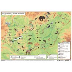   Booklet, double-sided, A3, STIEFEL "Wildlife of Hungary / The fauna of Hungary"